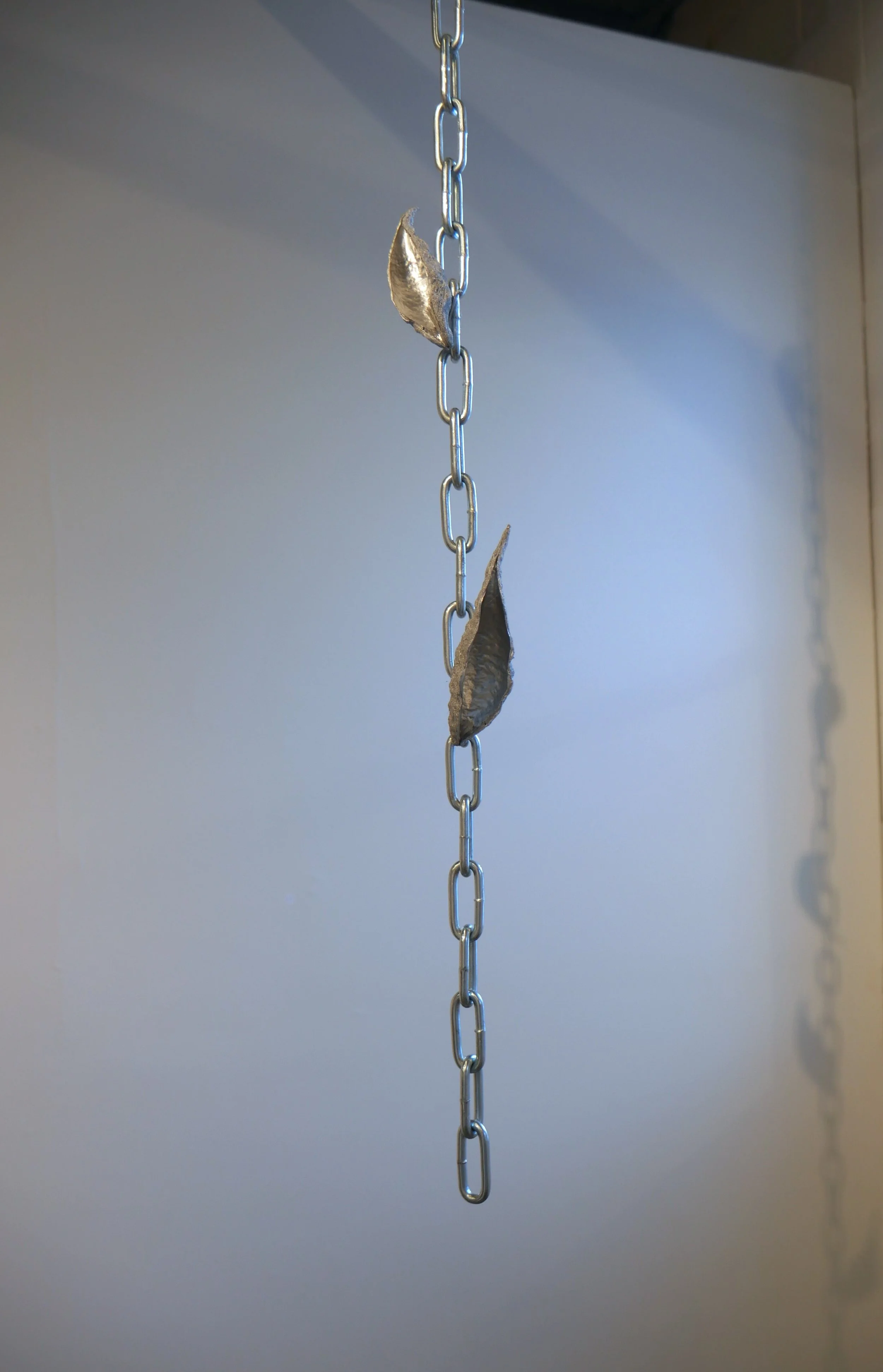 Chain.JPG