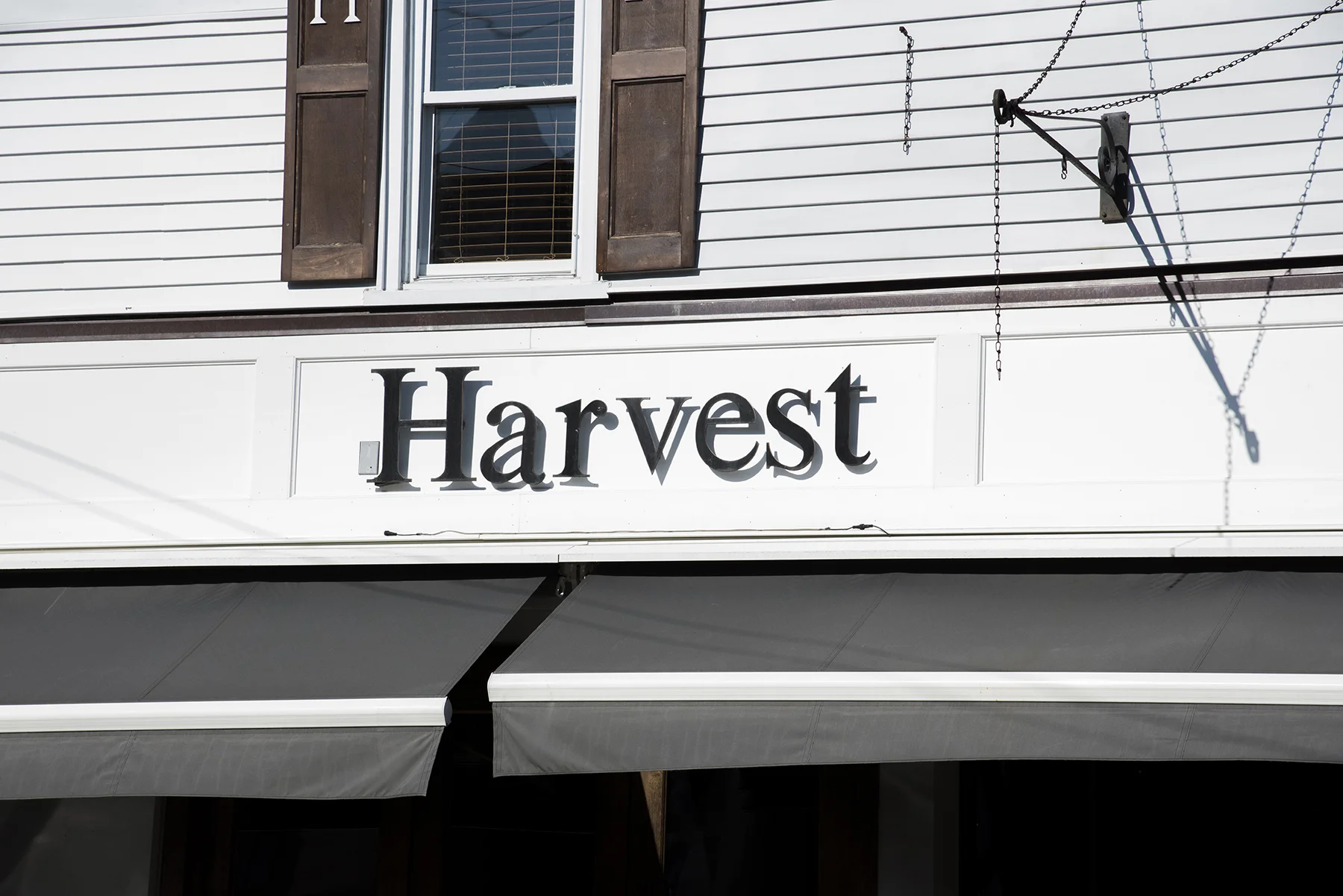 Harvest.jpg
