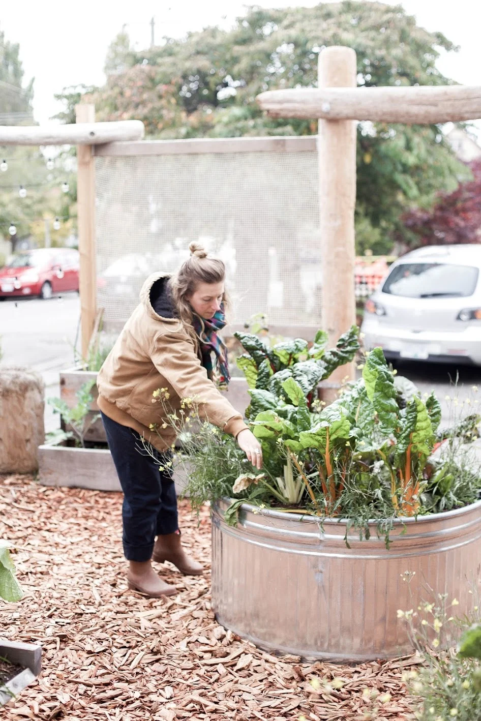 wintergardening1.jpg