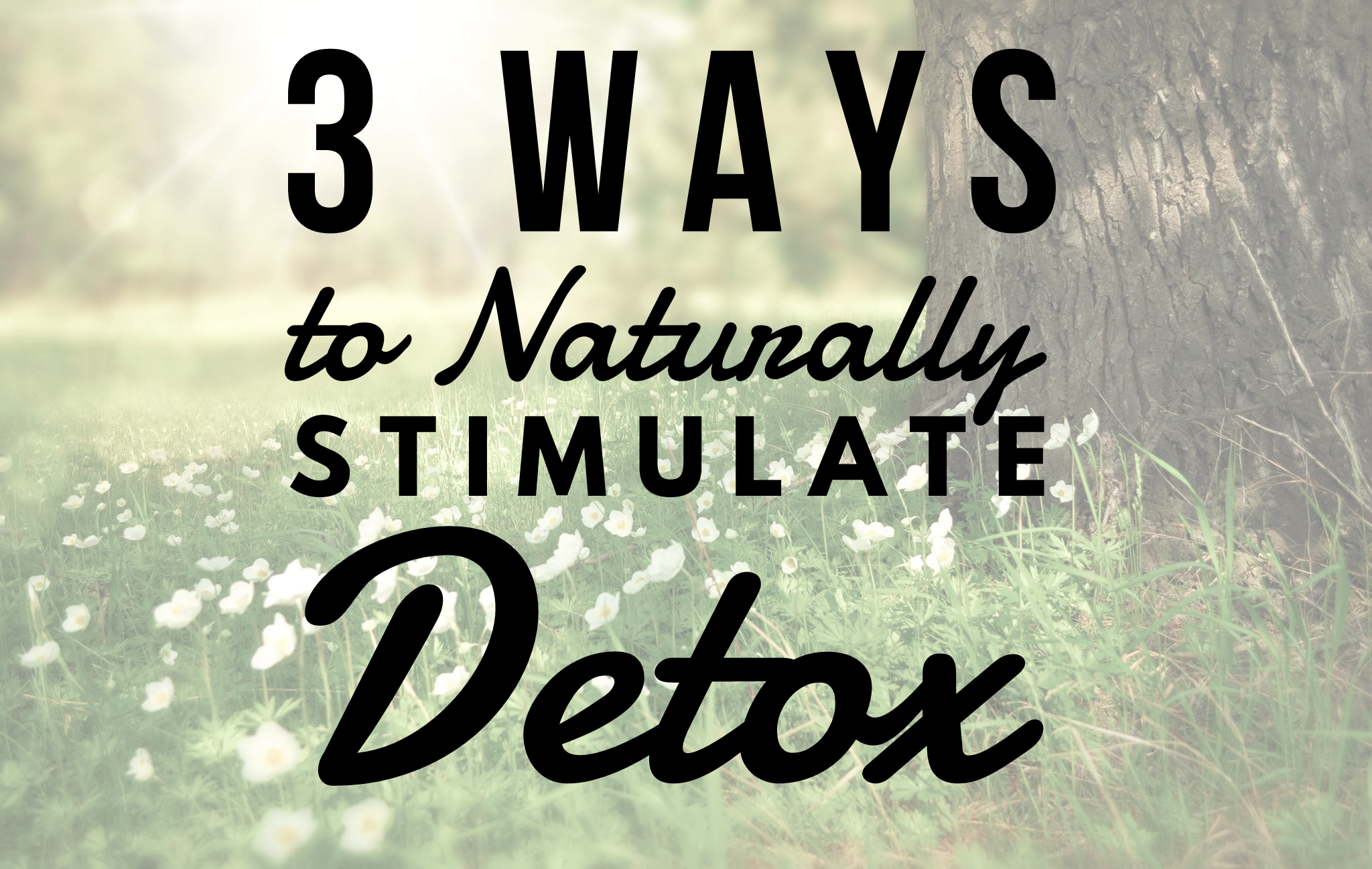 Three Ways To Stimulate Detox