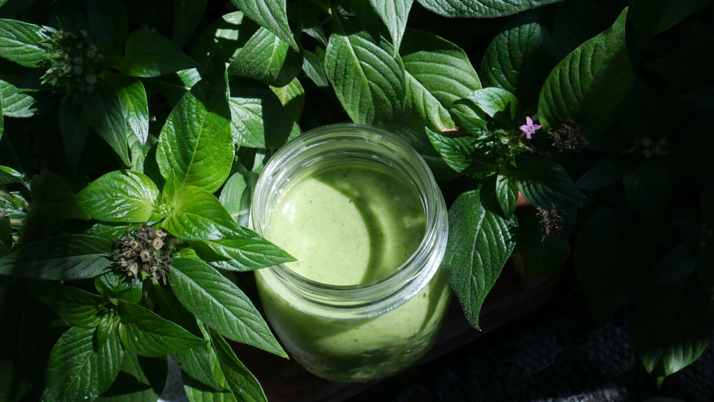 Dreamy Greens Smoothie