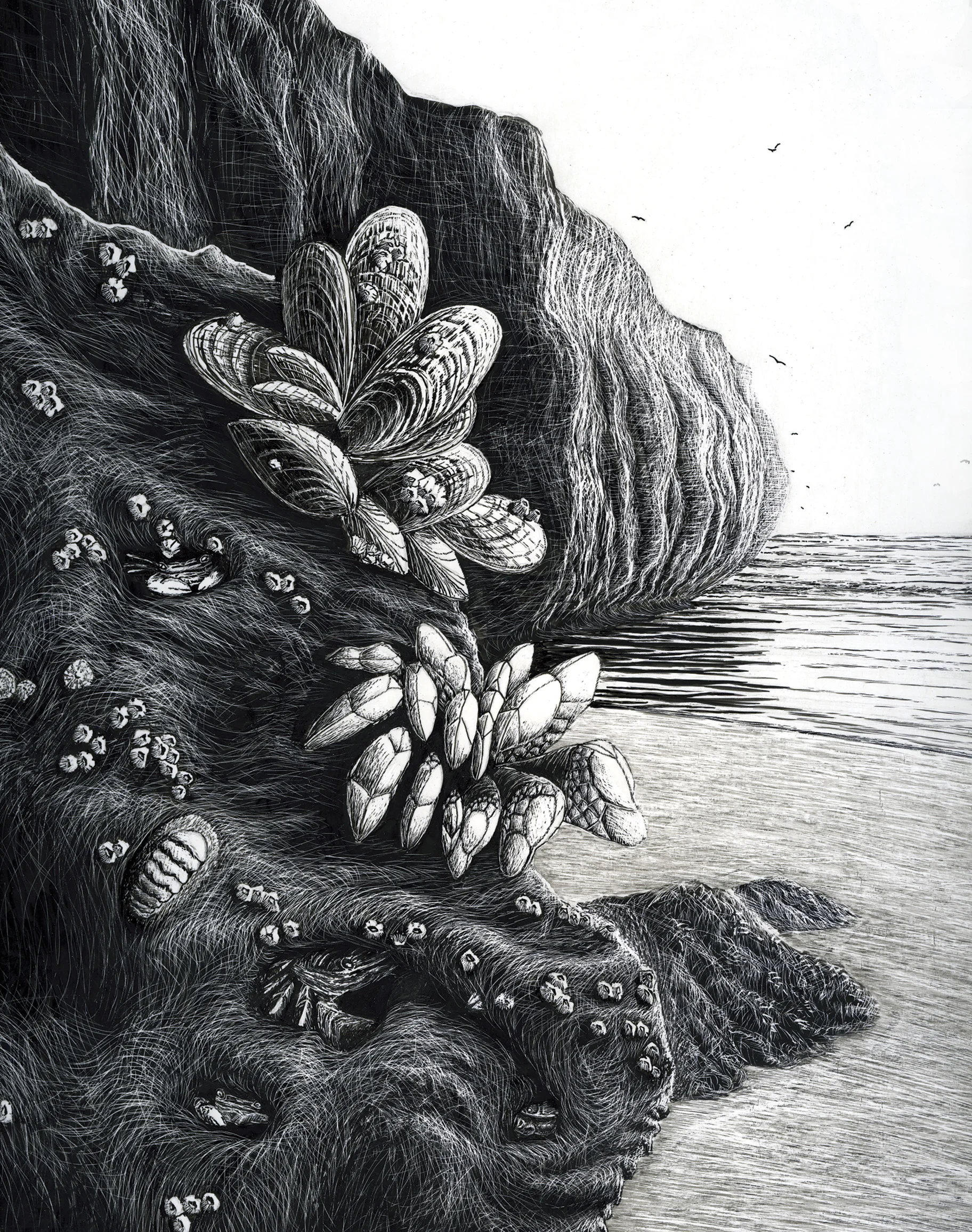 Ink on Scratchboard 14"x11" Prints Available