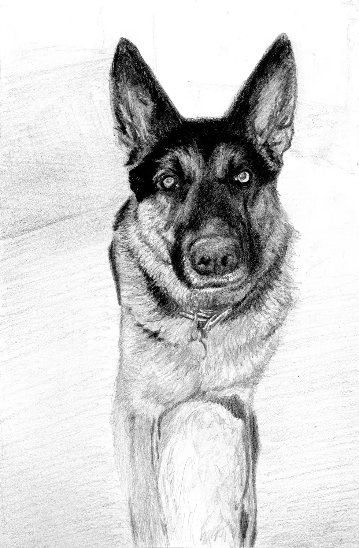 Graphite on Paper 10"x8"