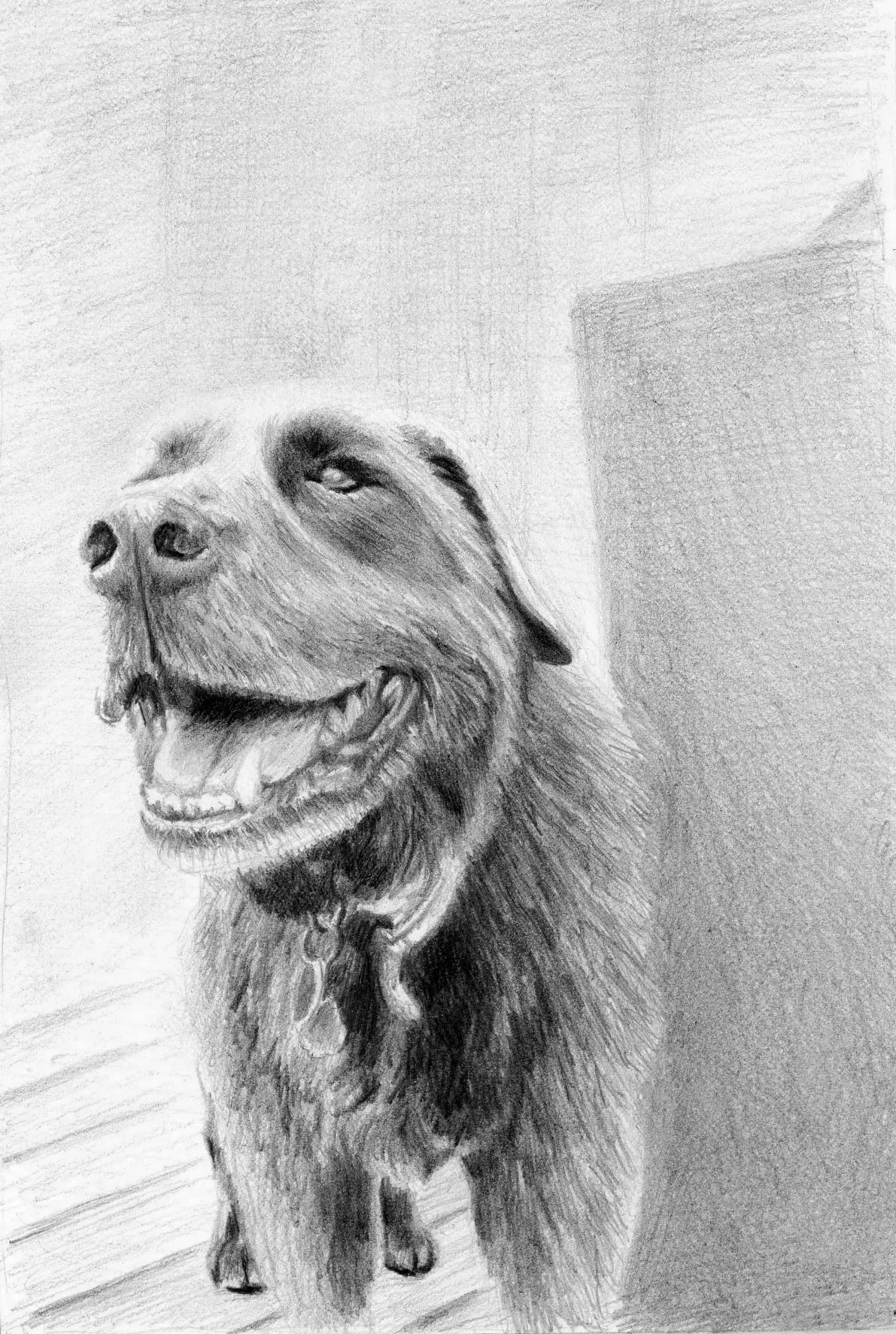 Graphite on Paper 10"x8"
