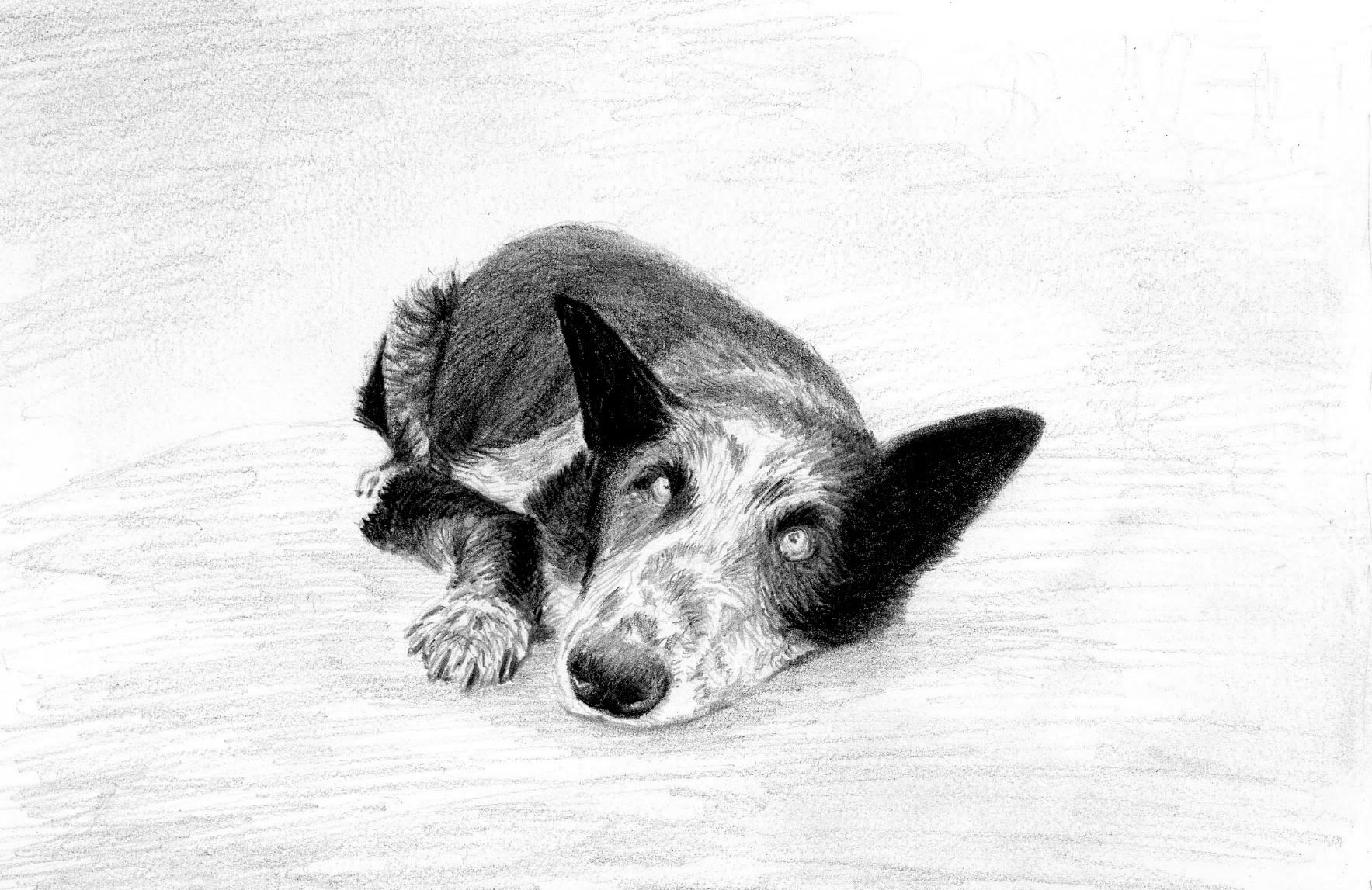   Graphite on Paper    5"x7"     