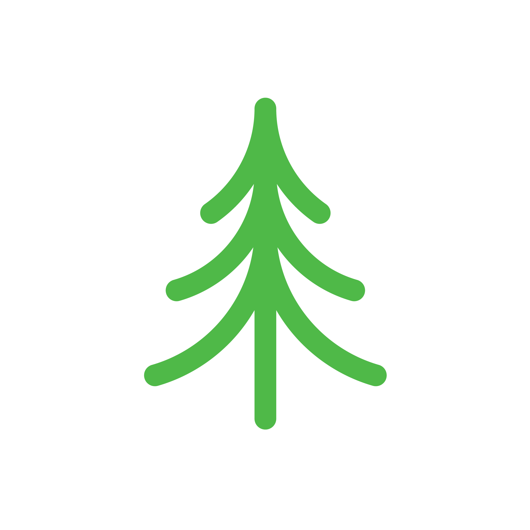 pine.png