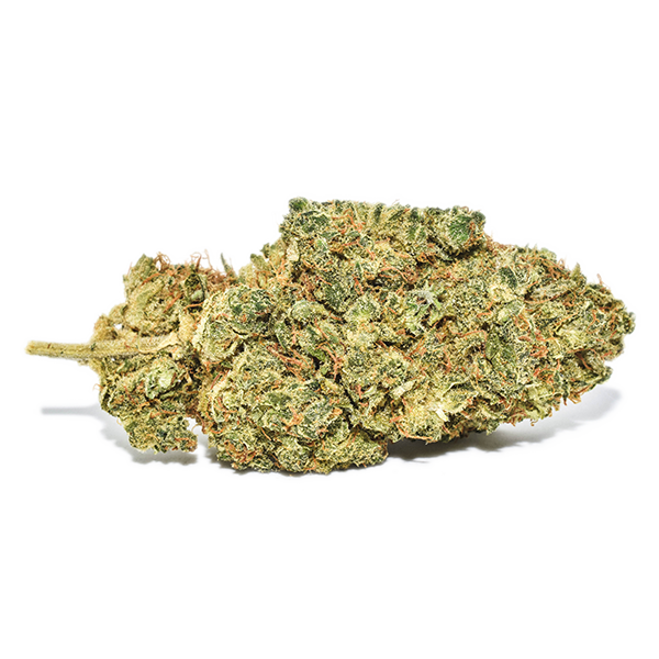 chocolope.png