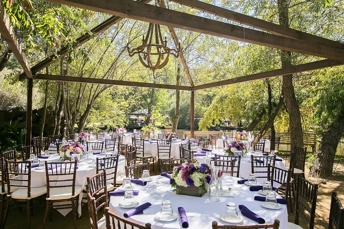 Shani Barel Photo CATE details 884.JPG