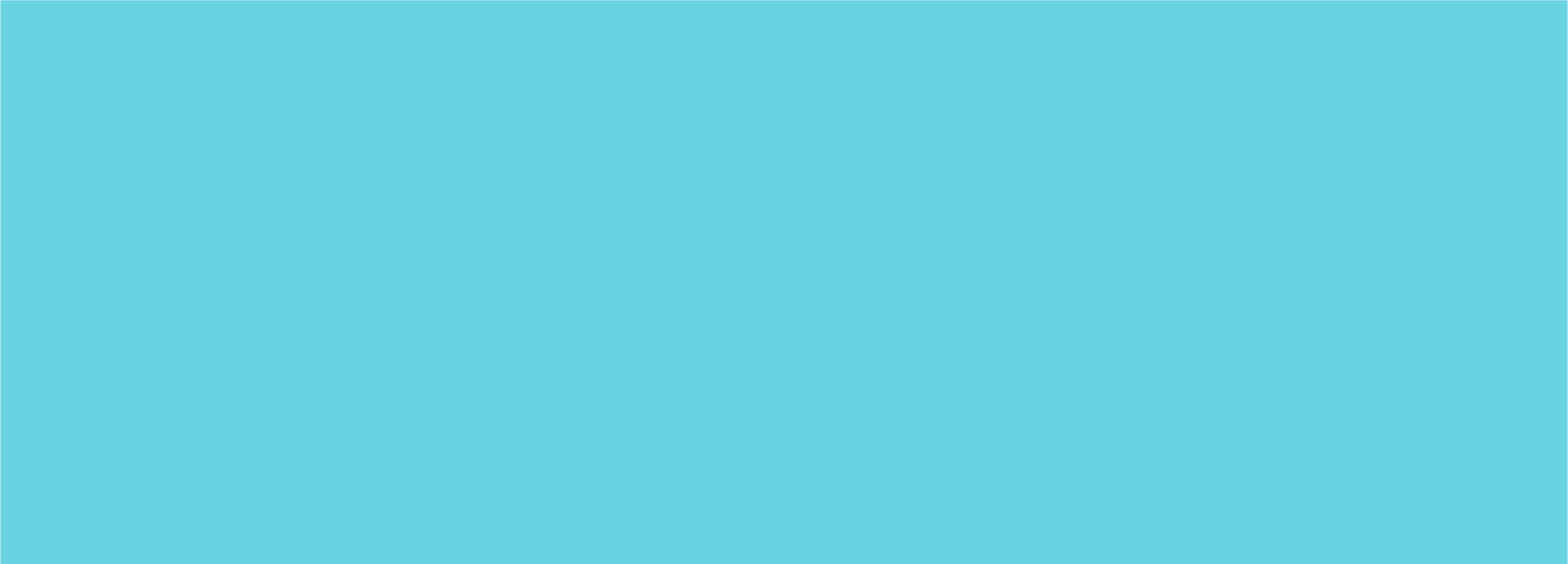 LN blue-02.jpg