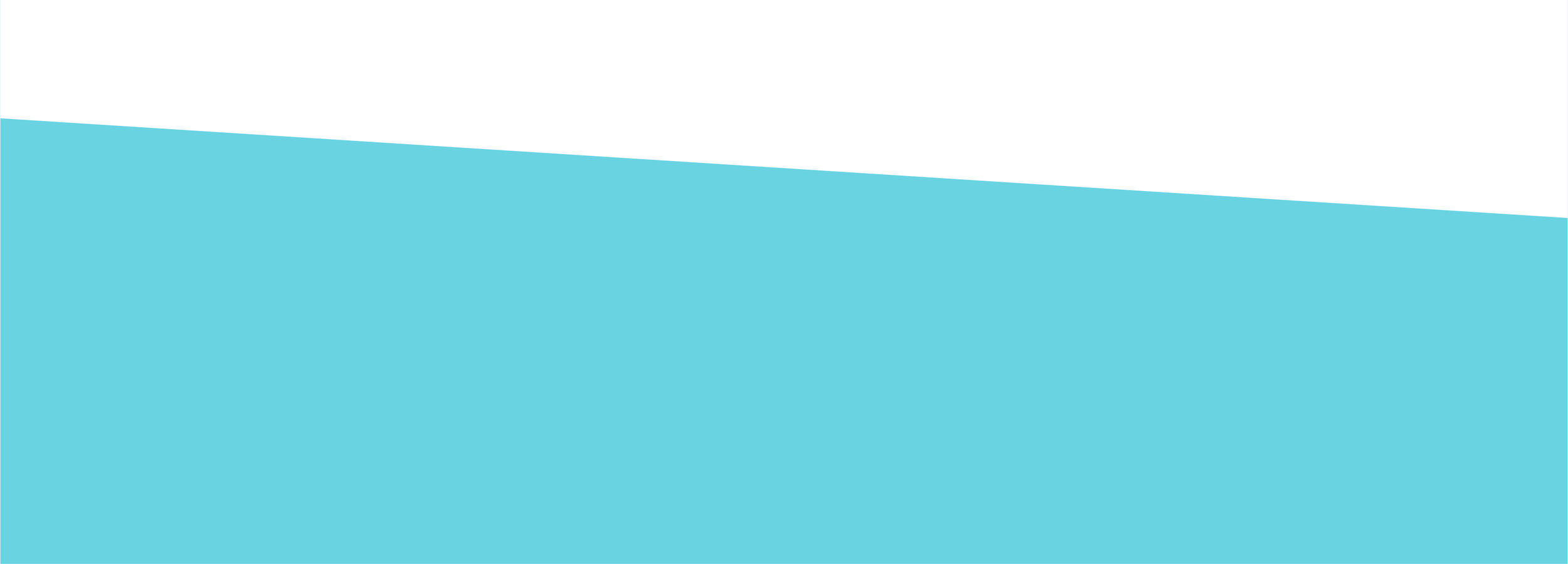 split colour background-1-27.jpg