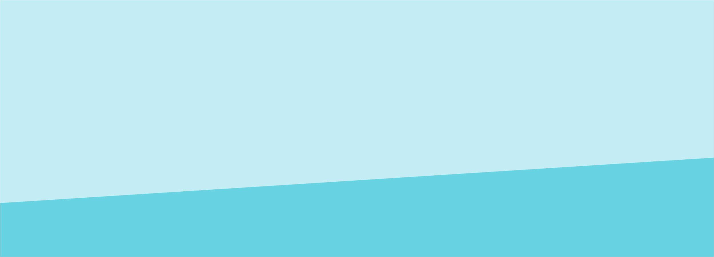 split colour background-28.jpg