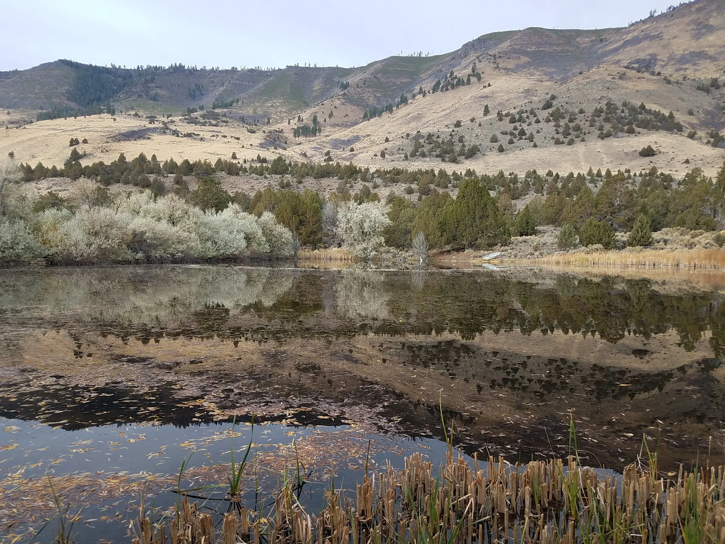 Reflections of Gratitude