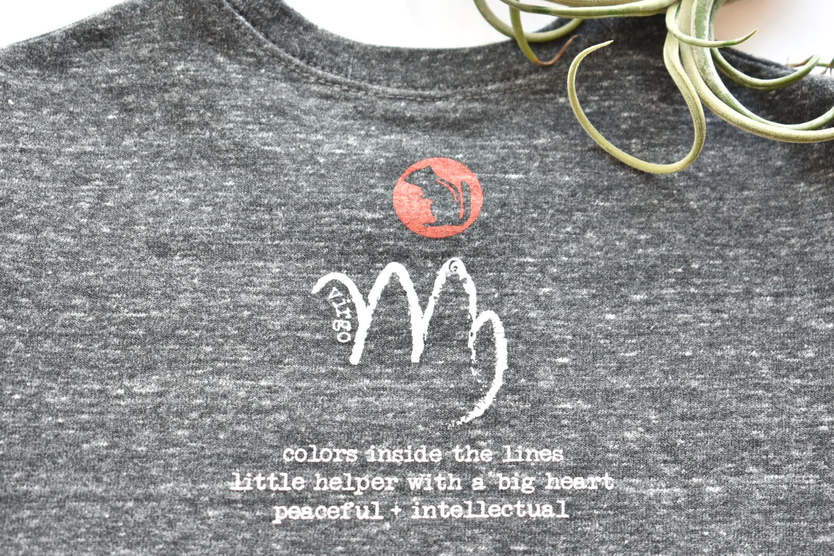 Virgo_closeup.JPG