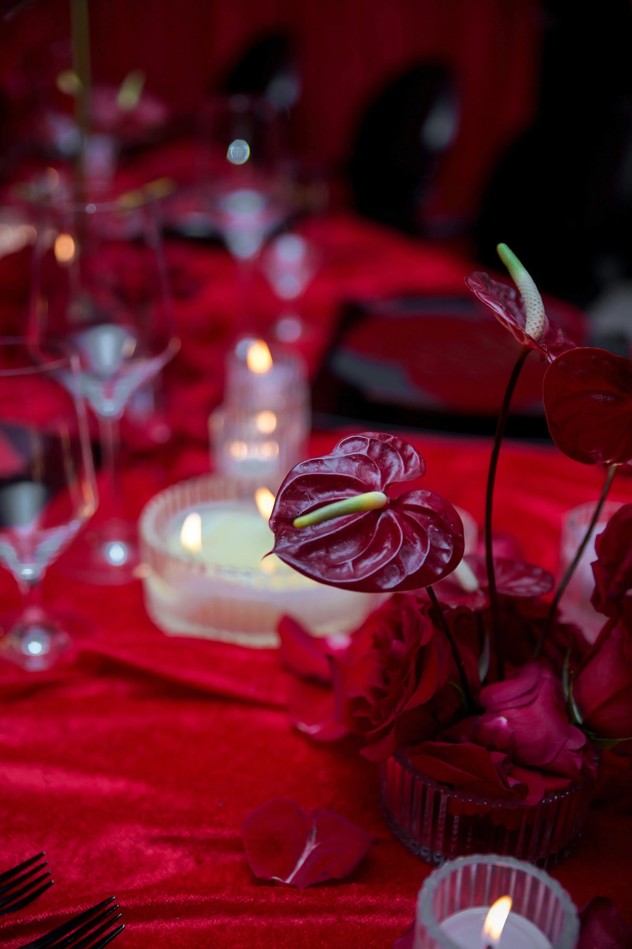 Club-heart-galentines-day-dinner-2026-ashley-purnell-productions-events-18.jpg