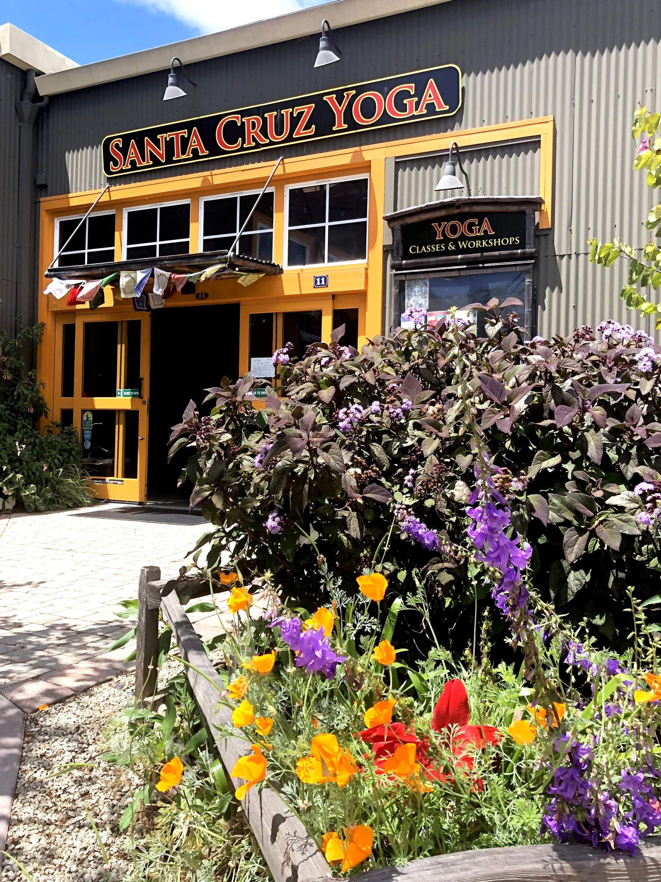 pricing-santa-cruz-yoga