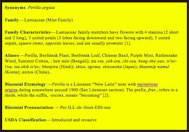 Screen Shot 2018-01-13 at 3.31.16 PM.png