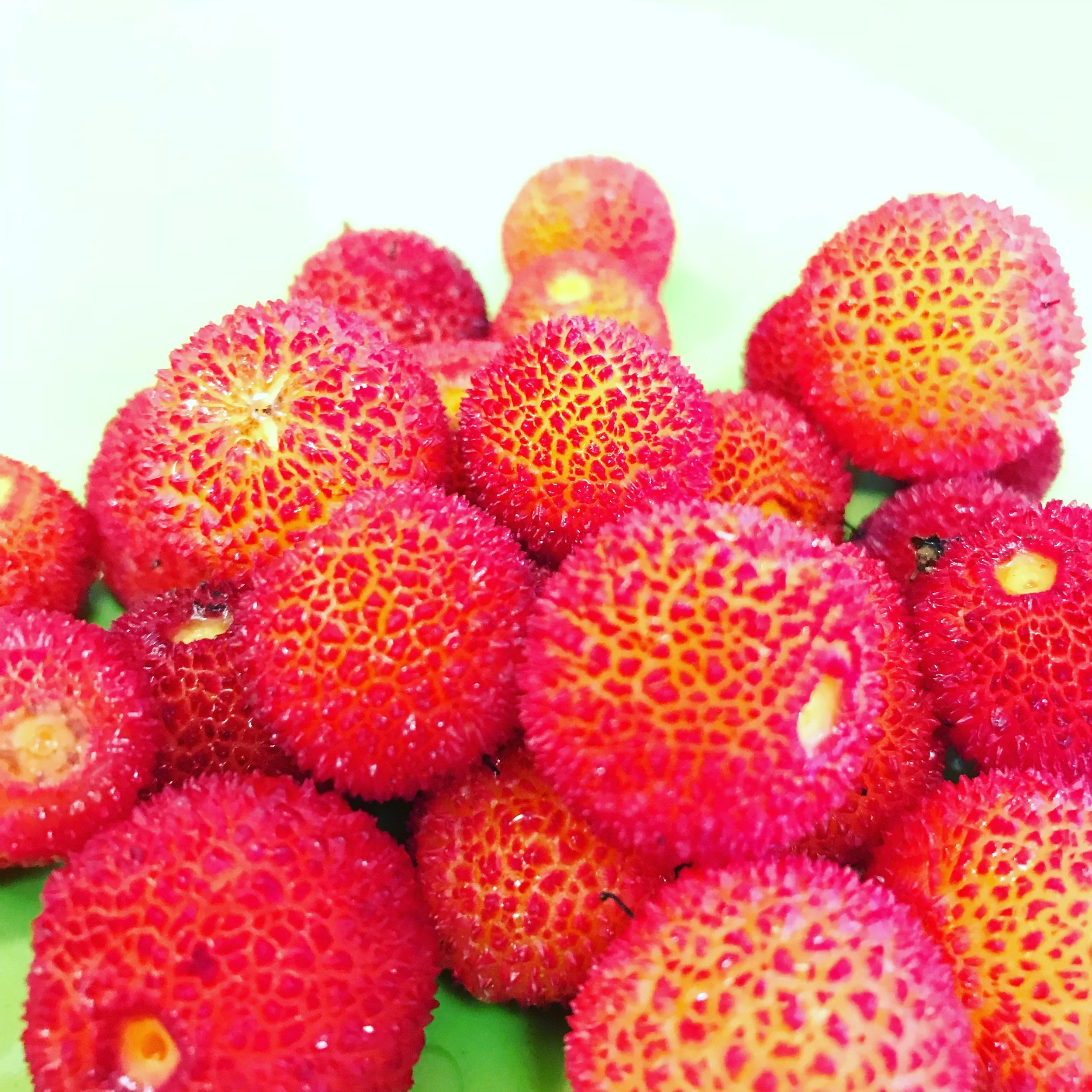 strawberry tree fruit