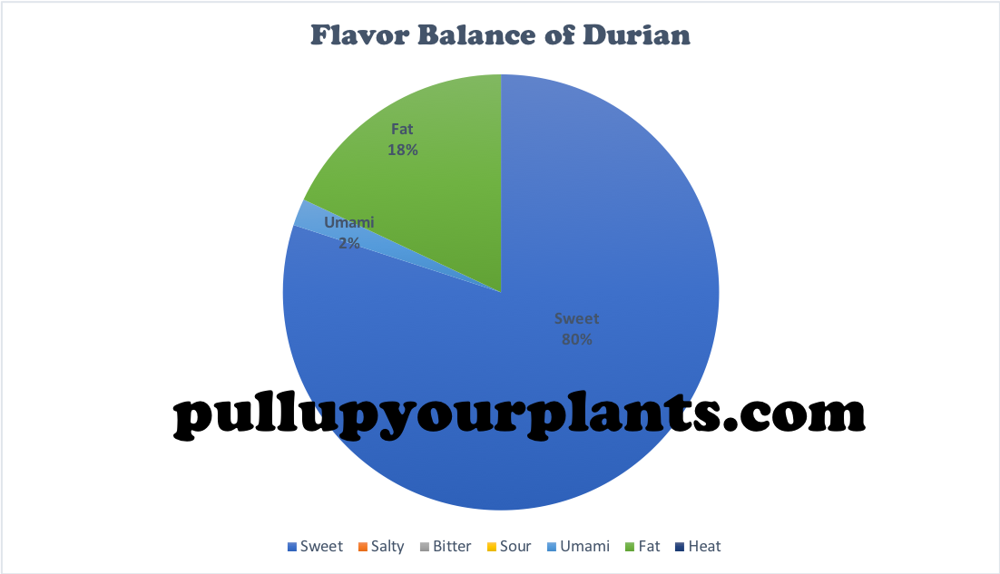 Graph 3: An Empirical Visualization of the Flavor Balance of Durio zibethinus