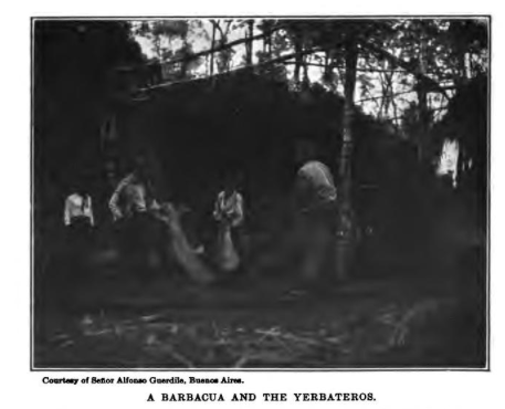Creative Commons image sourced from an American Union. (1916). Yerba mate: the tea of South America ... Washington: Govt. Print. Off.