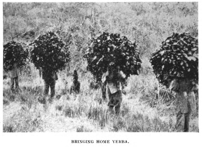Creative Commons image retrieved from Koebel, W. H. (William Henry). (1917). Paraguay. New York: C. Scribner's sons.