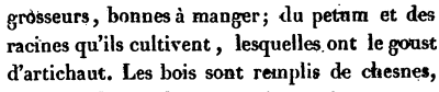 A quote From Voyages du sieur de Champlain, ou, Journal ès découvertes de la Nouvelle France (1605). This is a first-hand account by Samuel de Champlain speaking of native Americans cultivating roots that had the flavor of artichoke. He is widely agreed to have been referring to H. tuberosus.