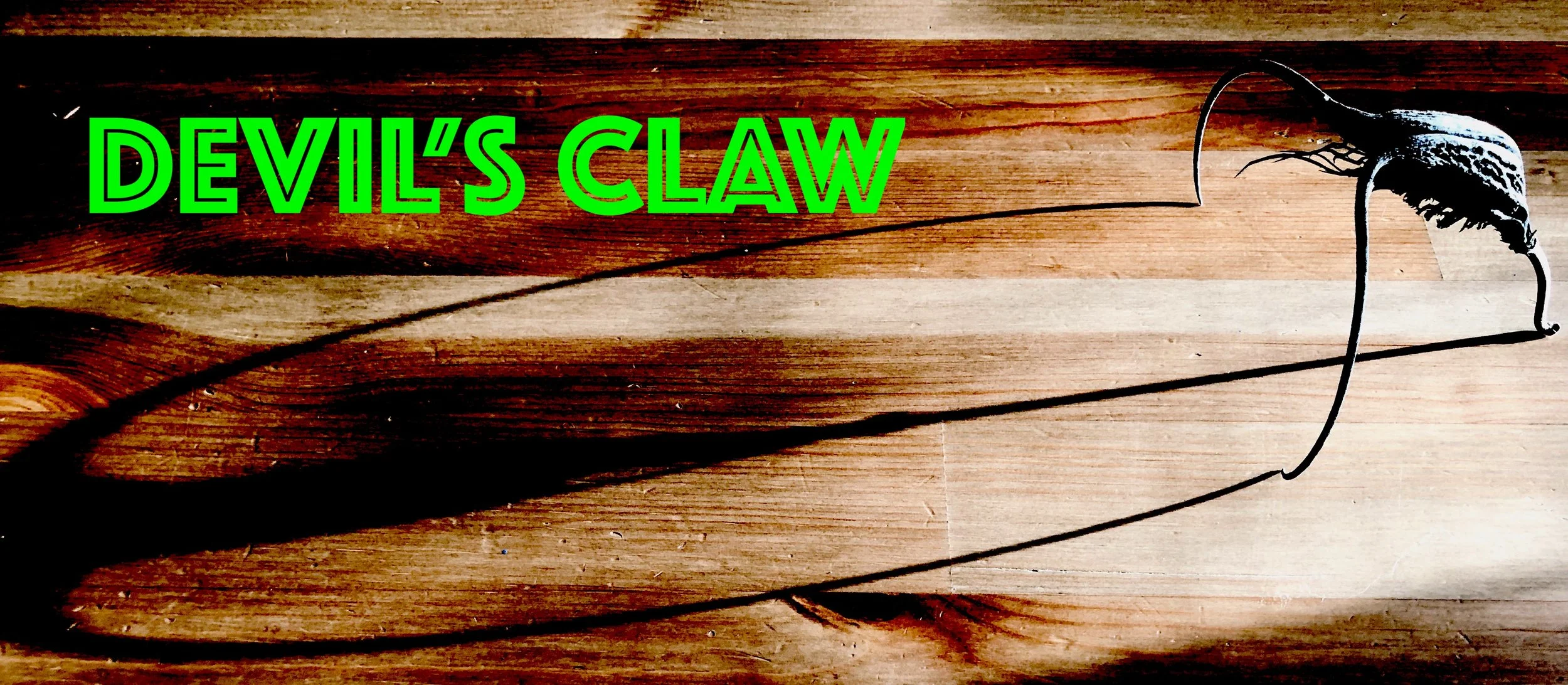 Devil's Claw: A Vegetable that Moves Like the Venus Fly Trap 