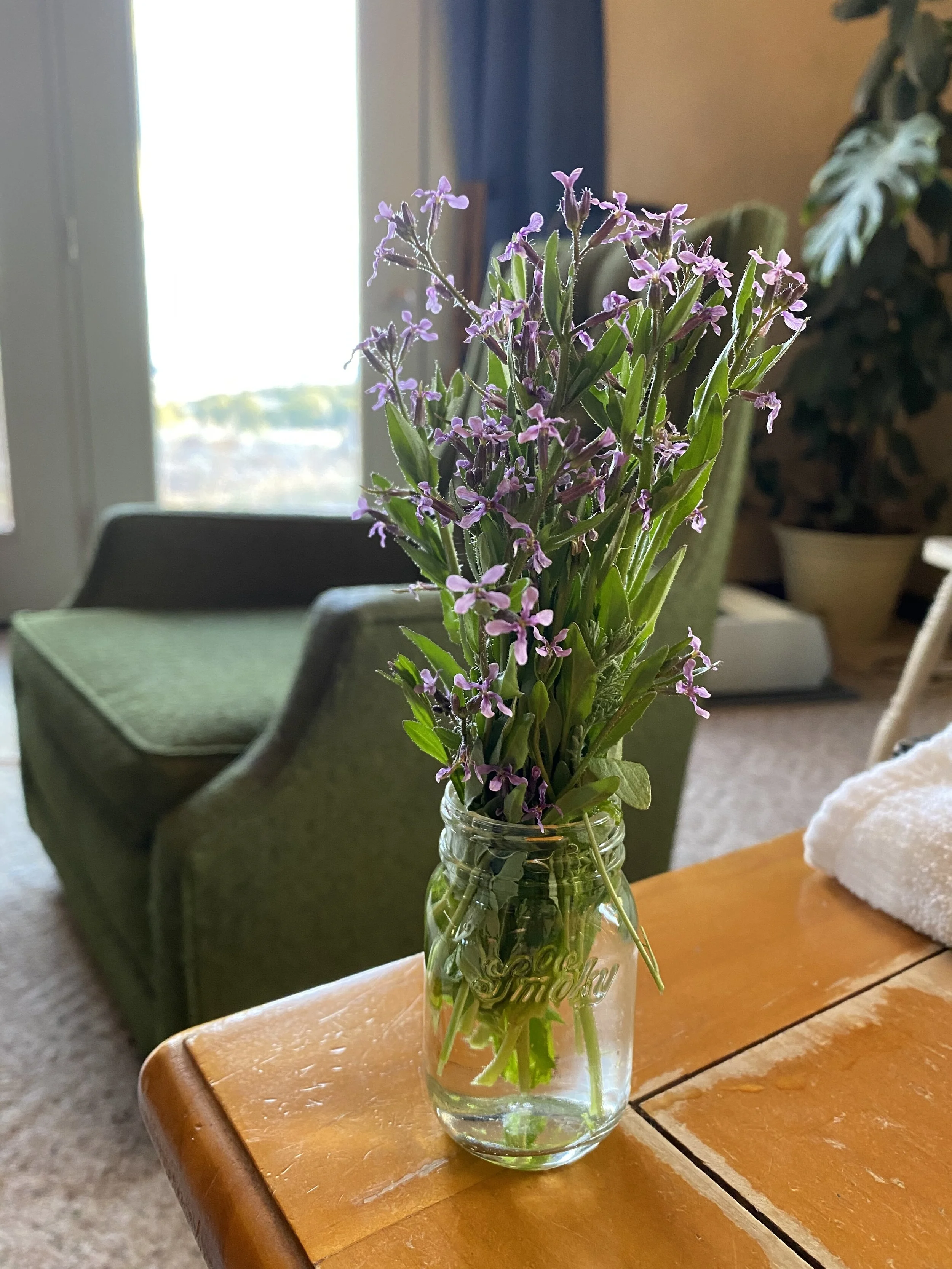 Blue Mustard: Tastes like Spicy Radish/Smells Like “Wet Bar Rags”