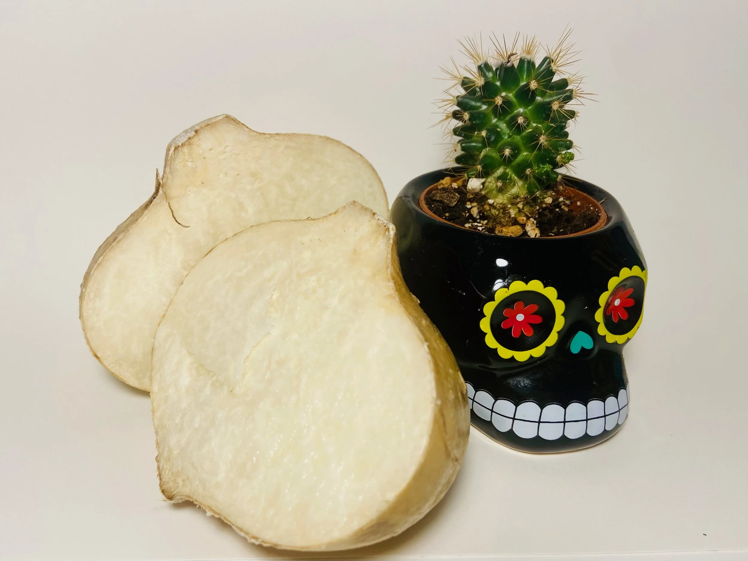 Jícama: A Toxic Plant with Tasty Roots