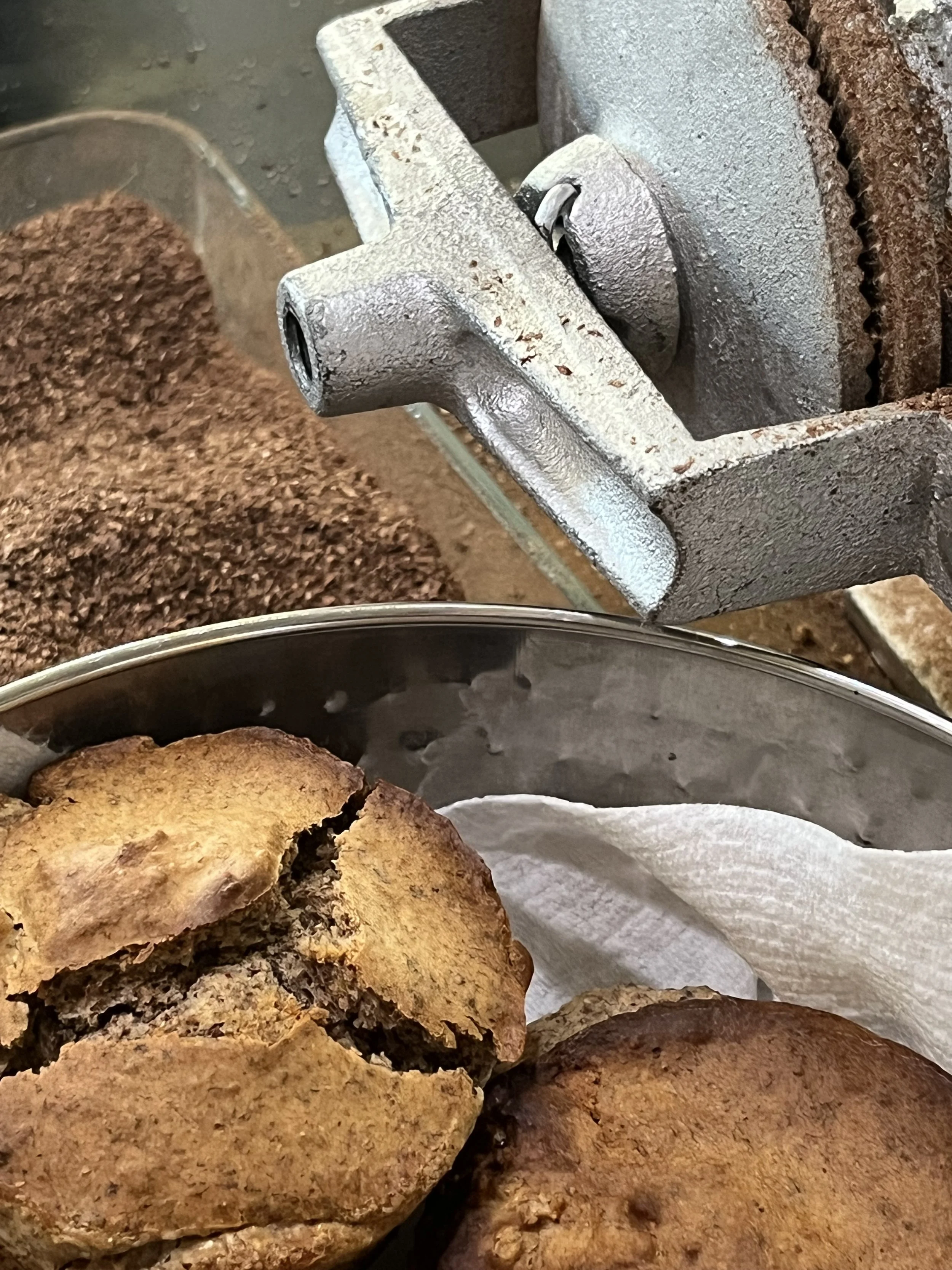 Orange &amp; Dock Seed Muffins