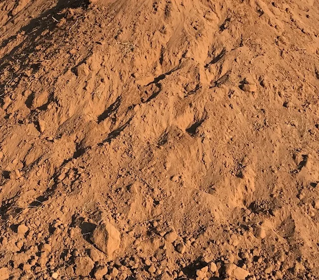  Topsoil is one of our top-sellers whEN you are looking to complete your yard on your new home or you are looking to update your existing yard, our sandy loam will help you get grass growing and give your yard a new look.