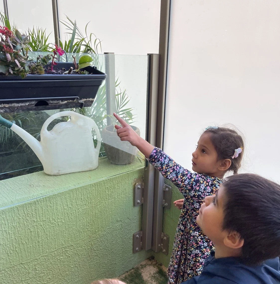 A preschool child in the Senses Kitchen Garden in spring
