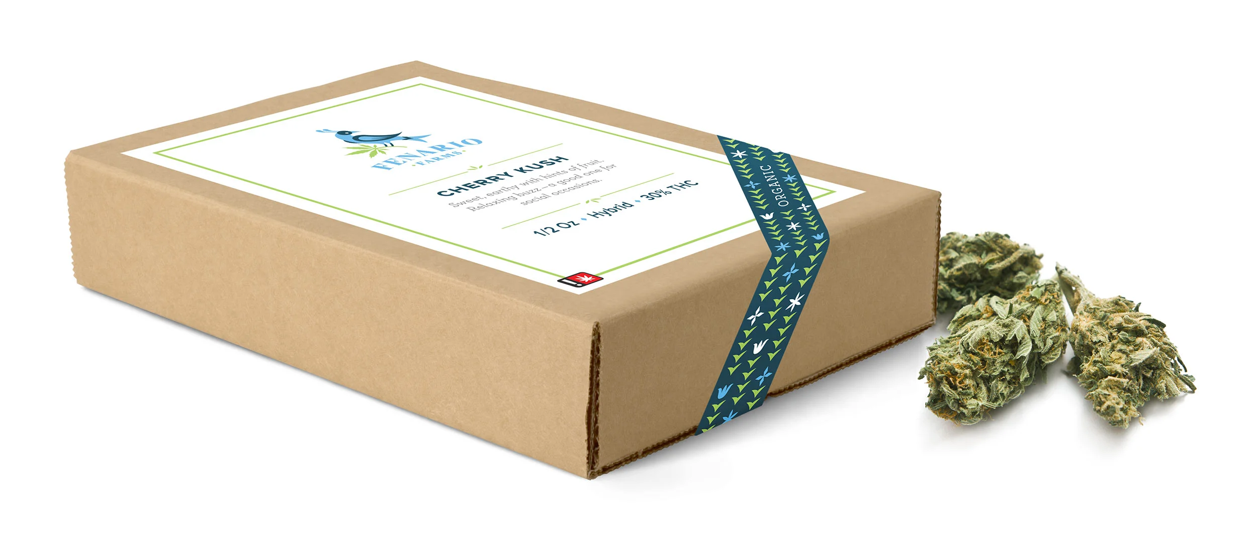 Box_Fenario_Mockup.jpg