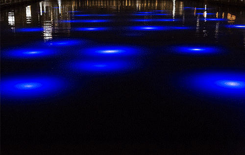 Light_City_Close_Up_e.gif