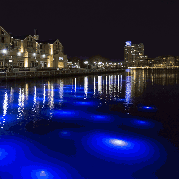 Some Thing in the Water