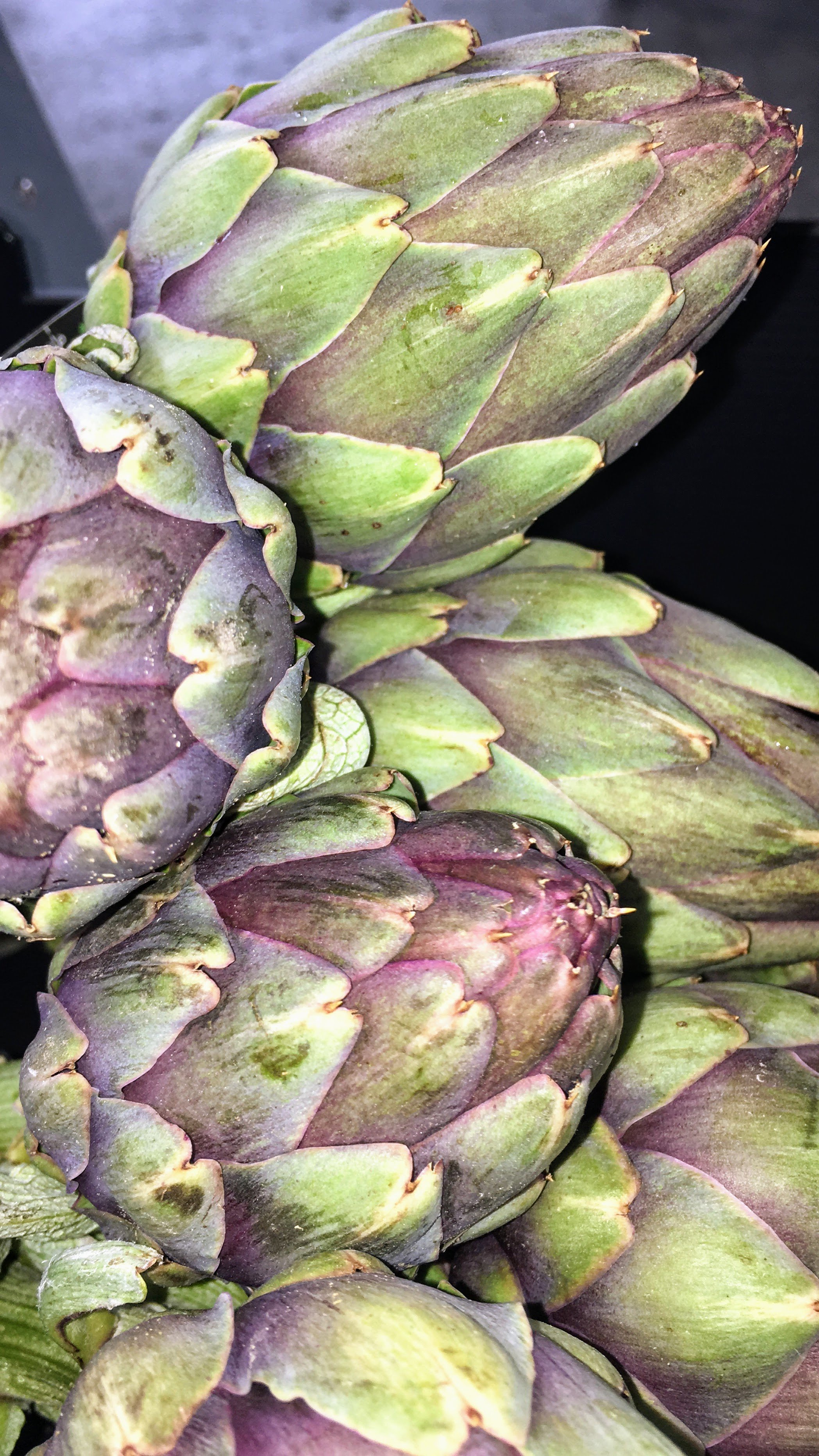 951BD032-359E-48BE-92A2-F000FA12BCAF (1).jpg