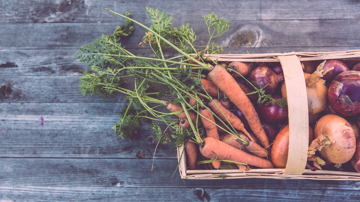 nutritional-assessment-healthy-vegetables.jpg