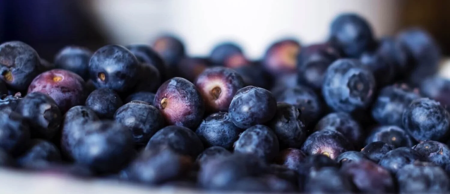 No Shoes Nutrition Certified Holistic Nutritionist & Coach Calgary