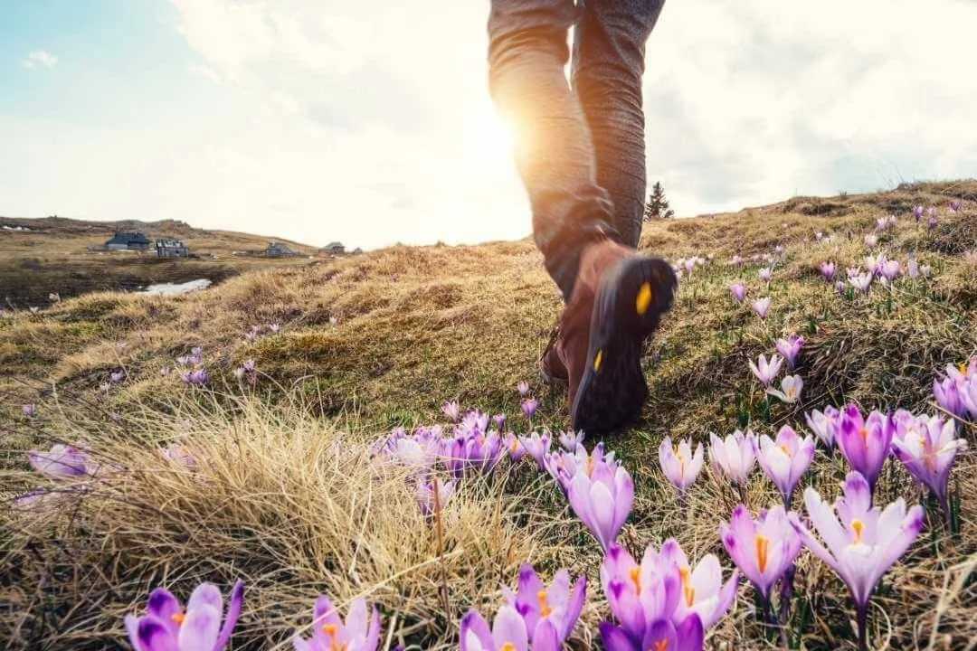 Nurturing Spring Rooted in Renewal: How Nature Nurtures Spring Wellness