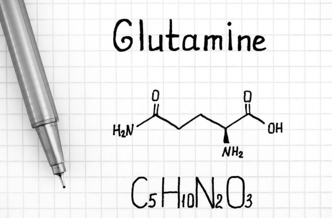 How Glutamine Can Help Curb Cravings A Natural Solution—No Shoes Nutrition