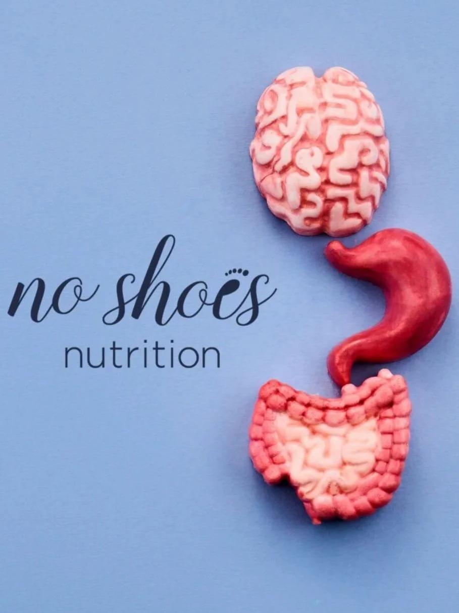 A brain above a stomach connected to a intestinal tract on a blue background with the No Shoes Nutrition logo to the left.