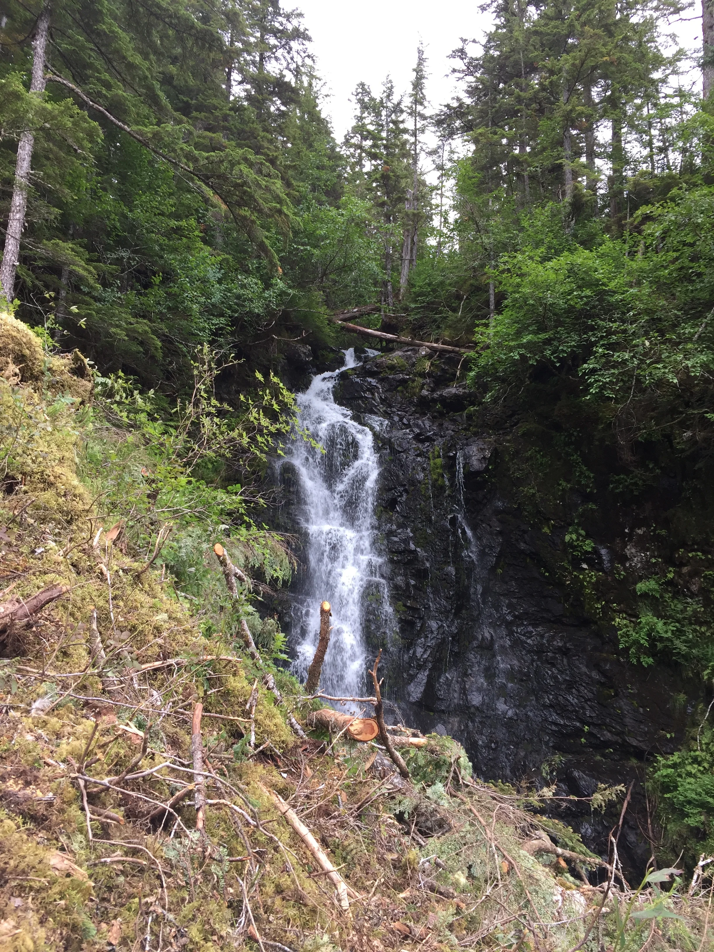 Bridge Site_After Geotech.JPG