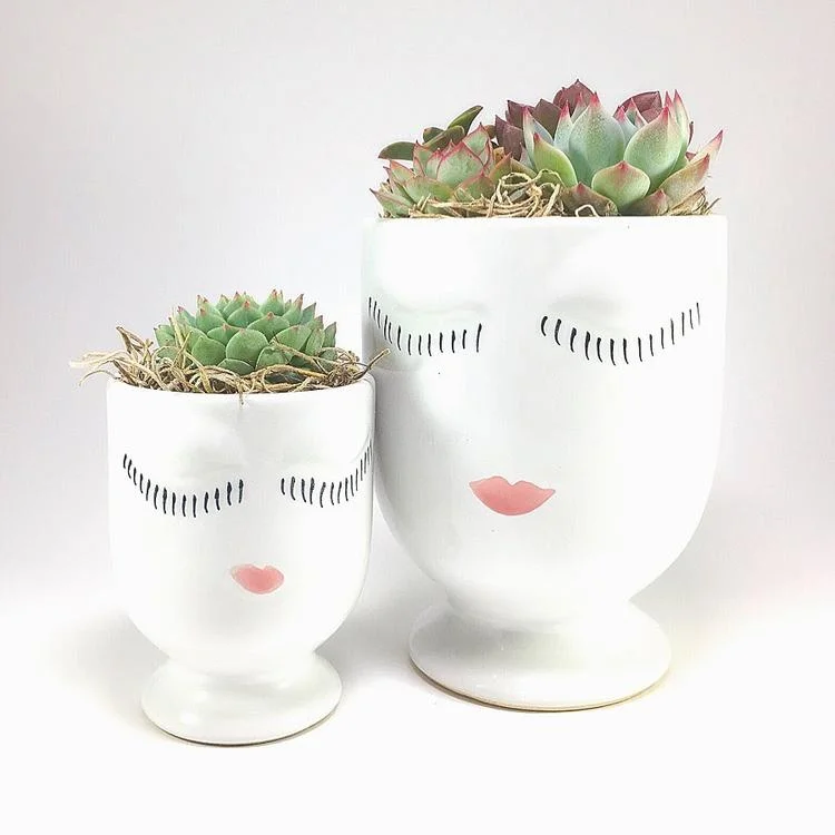 KNOCK YOUR SUCCS OFF