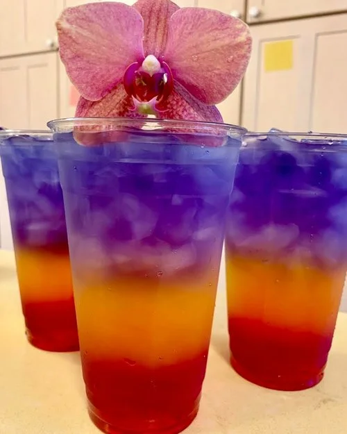 TURONTASTIC'S MANILA SUNSET CALAMANSI ICED TEA