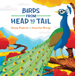 BirdsFromHeadToTail.png
