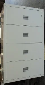 FSFSL4553.jpg