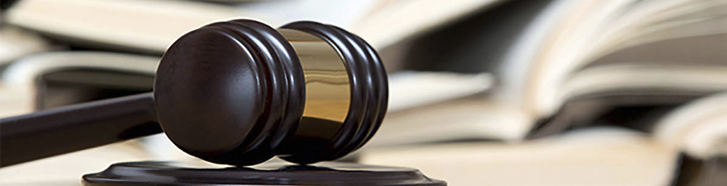 Litigation Support.png