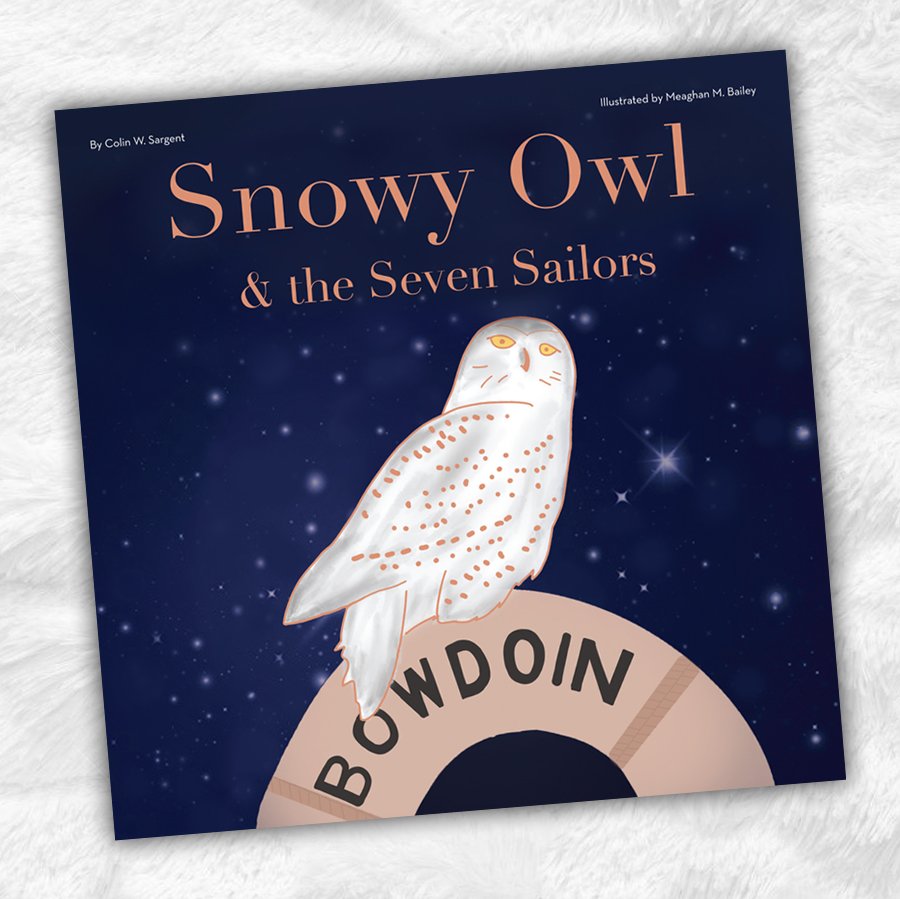 Snowy Owl &amp; the Seven Sailors