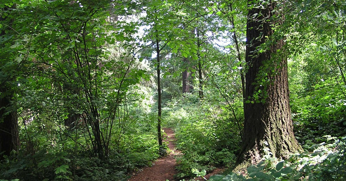 floyd-light-park-trail.jpg