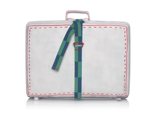 VALISE BLEUE ET VERTE.jpg