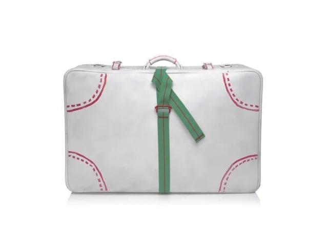 VALISE VERTE.jpg